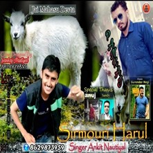Sirmouri Harul